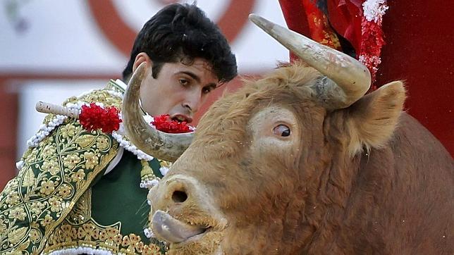 Alejandro Talavante Solo Con Seis Toros En El Ruedo De TVE