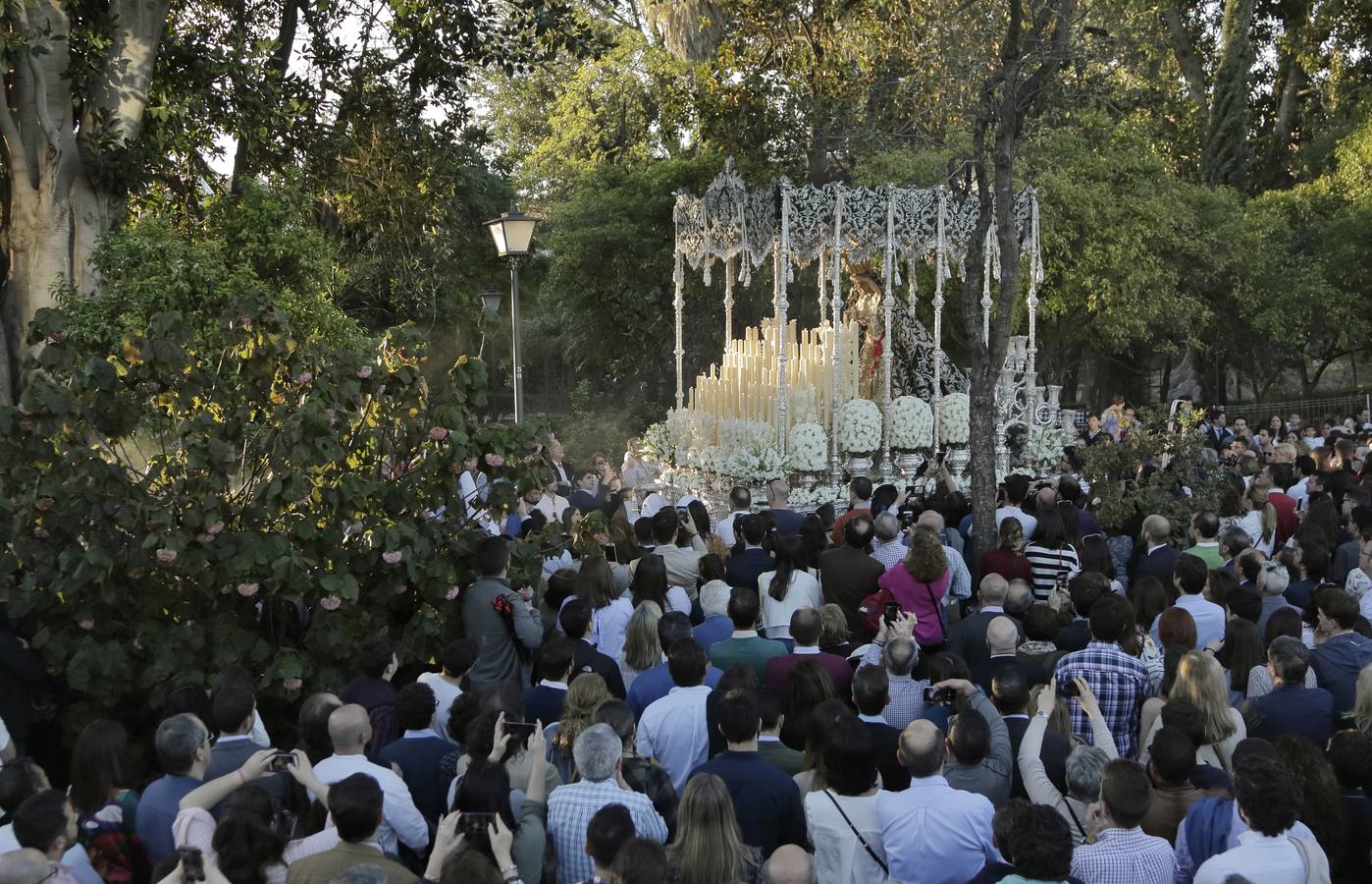 La Candelaria Por Los Jardines De Murillo De D A En La Semana Santa De