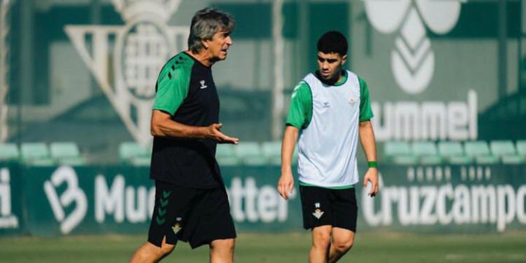 Así juega Enrique Fernández el último brote verde de Pellegrini