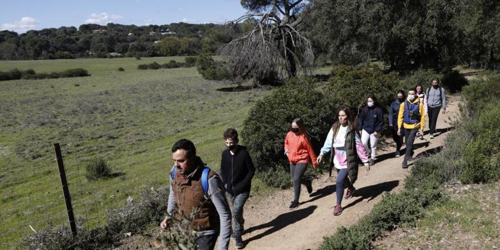 Cintur N Verde De C Rdoba La Junta De Andaluc A Licita Las Obras Del