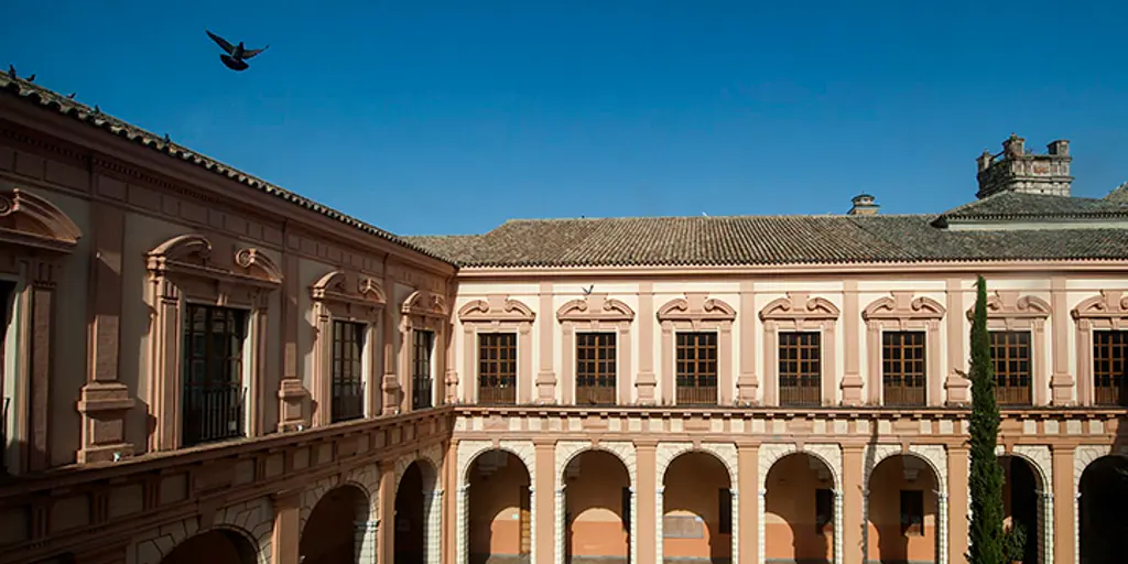 Las Capillas De Las Hermandades En El Antiguo Convento Del Carmen