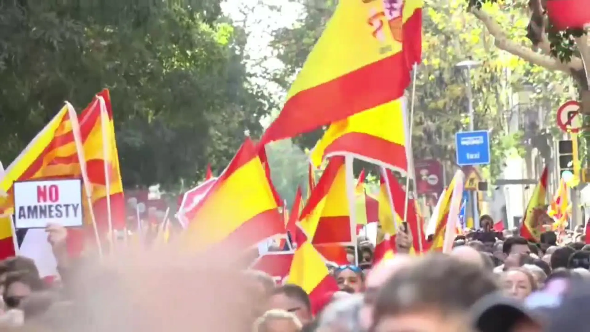 Unas 2 600 personas protestan contra la amnistía ante la Delegación del