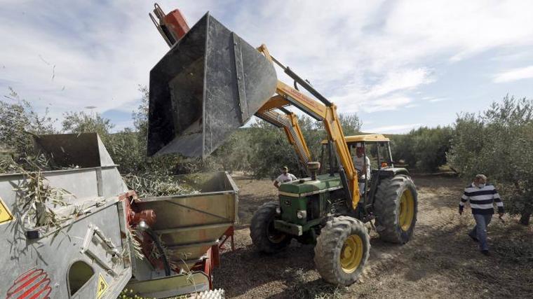 Las Indemnizaciones Por Da Os Del Seguro Agrario Se Triplican En