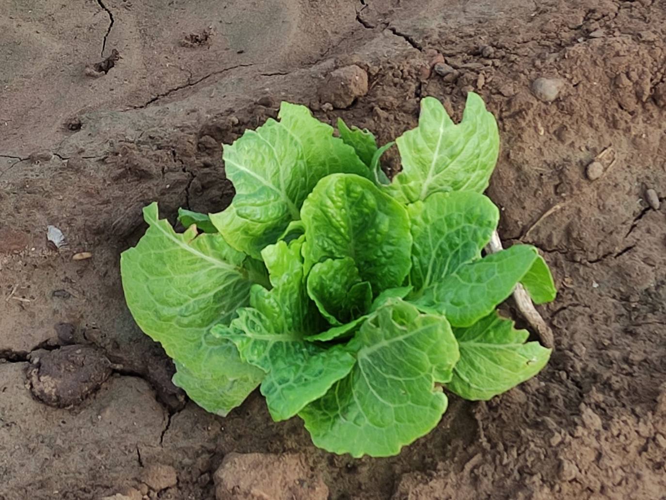 Agricultores Valencianos Piden La Ampliaci N Del Permiso De Caza Ante