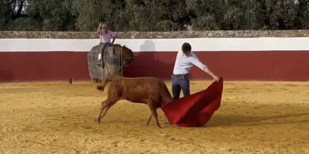 Daniel Luque Vuelve A Torear En El Campo Un Mes Despu S De La Cornada