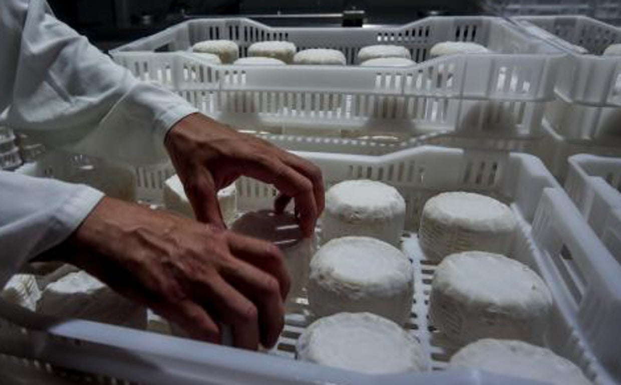 Alerta Alimentaria Sanidad Retira Un Queso Fresco Elaborado En