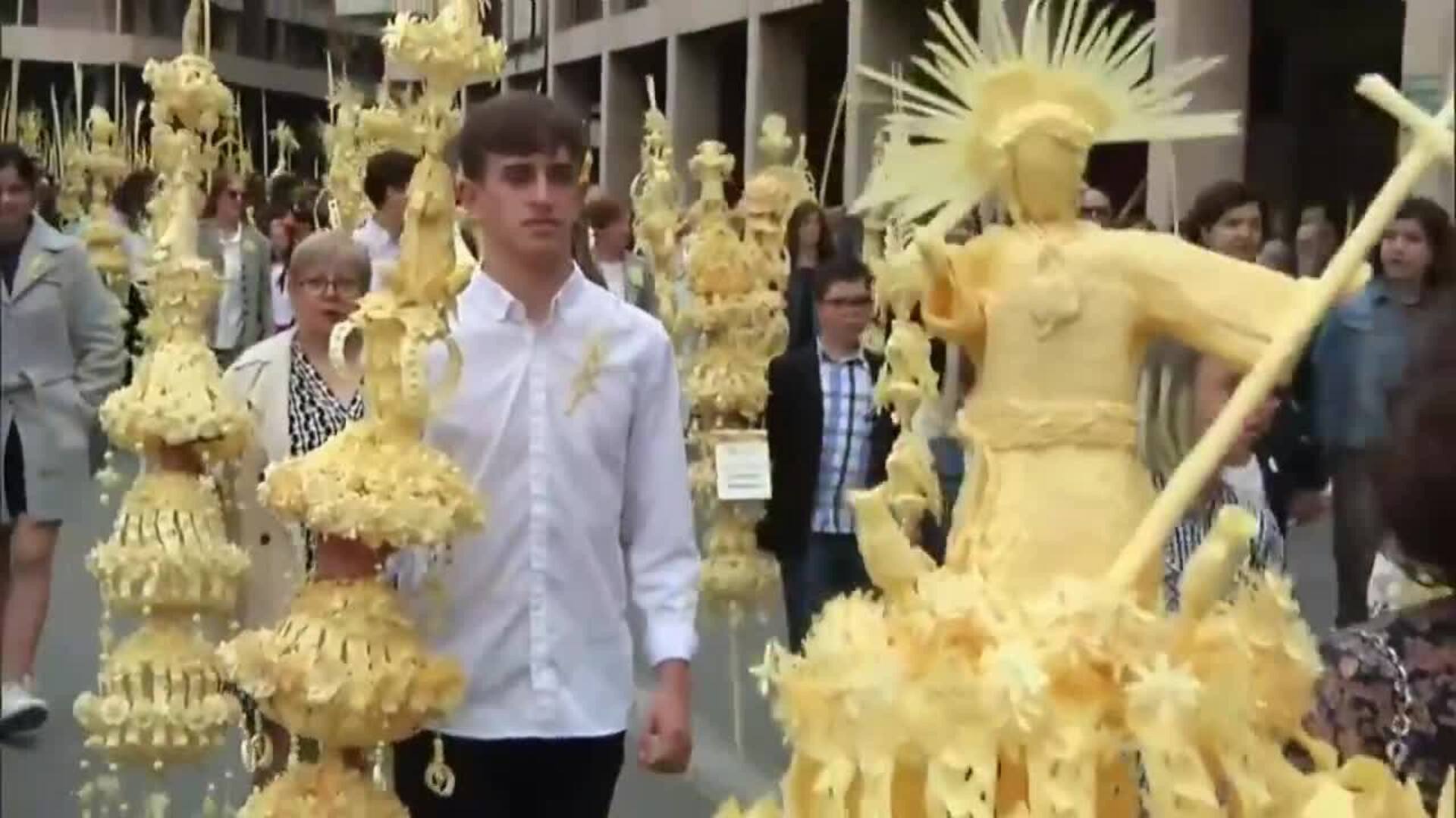 Miles De Palmas Blancas Recorren Las Calles De Elche En La Procesi N