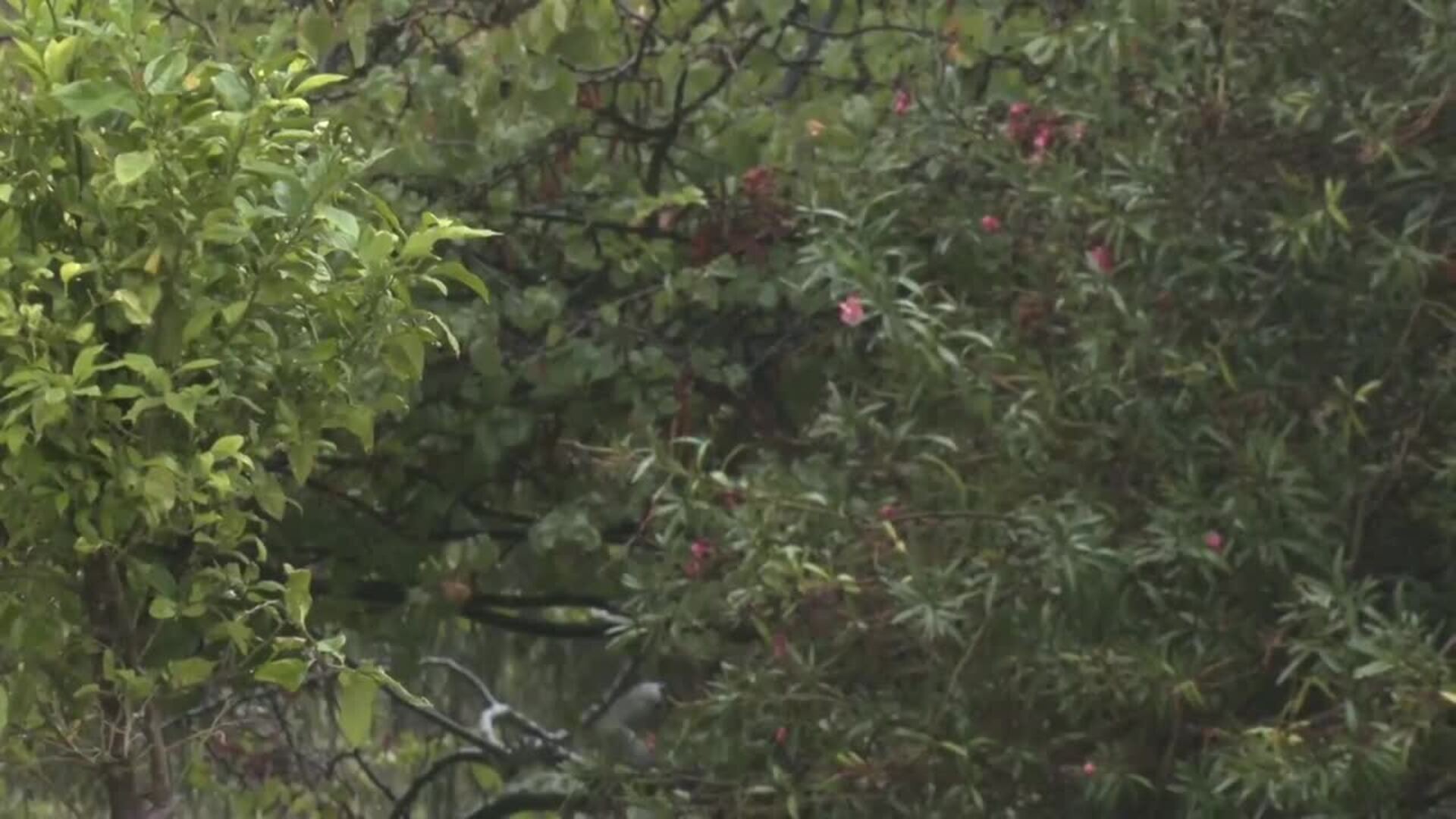 Aviso de nivel rojo por lluvia en Córdoba y Sevilla y naranja en resto