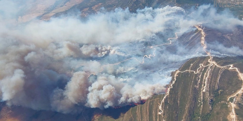 El Infoca Da Por Extinguido El Incendio Forestal De Tarifa