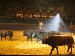 La Feria Mundial del Toro de Sevilla, a punto de salvarse de las garras de la crisis