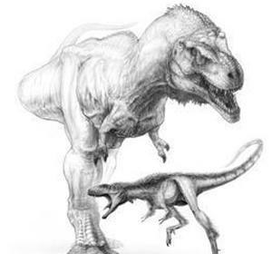 El Tyrannosaurus rex descendió de una especie casi cien veces más pequeña