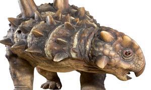 Hallan un dinosaurio de 112 millones de años, blindado como «un tanque militar»
