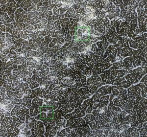 La NASA pierde uno de sus mejores vehículos en Marte