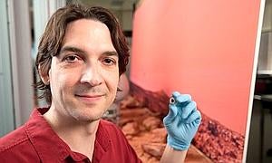 Nuevas pistas sobre el meteorito marciano donde se busca vida