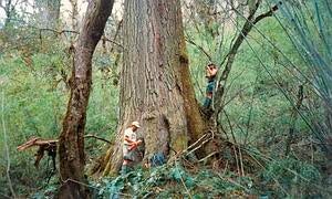 La sequía que acabó con la dinastía Ming