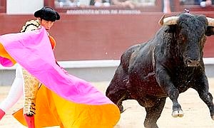 San Isidro: ¿hemos tocado fondo?