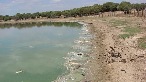 Crisis sin precedentes en el estado de los ríos del mundo