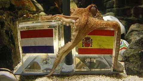 «Pulpo Paul» ya tiene copyright