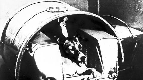 Ladridos en el espacio