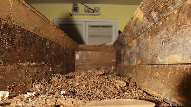 El ataúd del asesino de Kennedy, a subasta