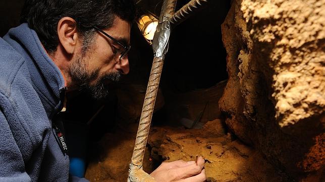 Los neandertales intercambiaban hembras para evitar la endogamia