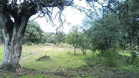 Descubren restos de un recinto ritual de la época romana