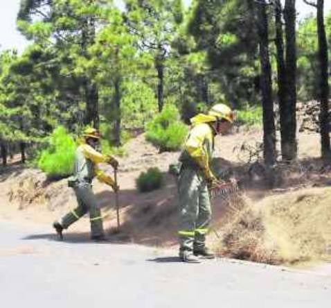El Hierro, con un 12% de paro, la gran excepción canaria