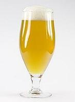 Cómo fabricar tu propia cerveza