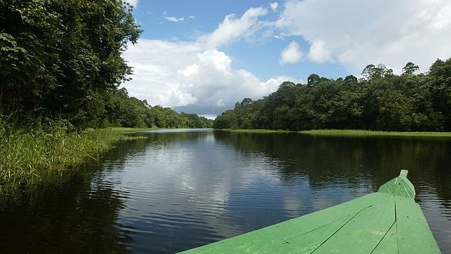 Dos sequías en cinco años en el Amazonas preocupan a los científicos