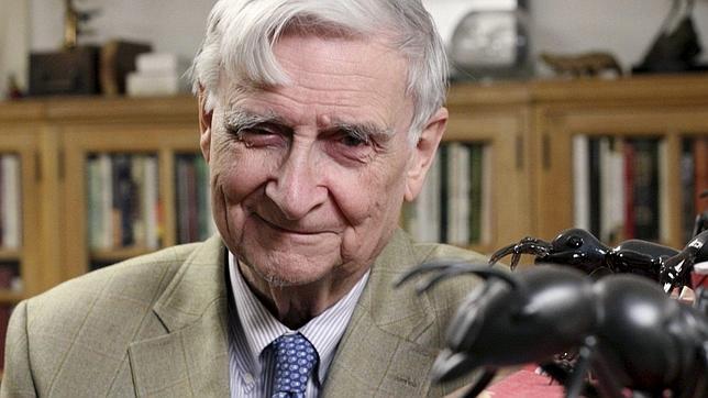 Premio para Edward G. Wilson, «padre» del concepto de «biodiversidad»