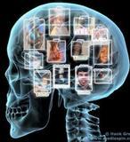 Las cien formas de las redes sociales