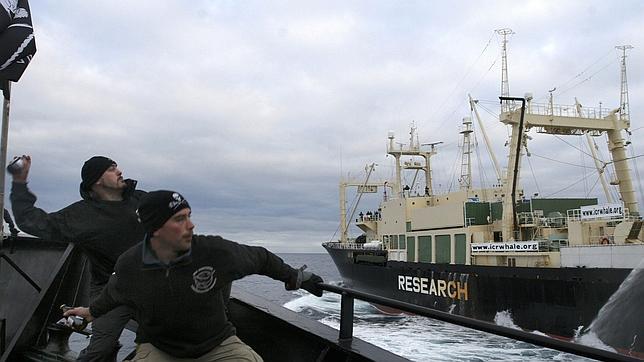 Japón suspende la actual temporada de caza de ballenas en la Antártida