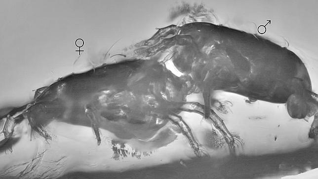 Ellas mandaban en el sexo