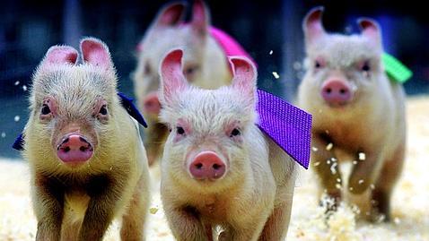 Los siete motivos por los que Morgan Stanley saca a España de los PIGS