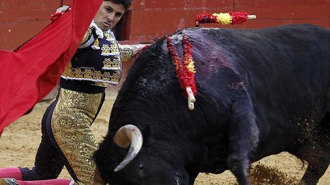 Con toros flojos, no hay espectáculo