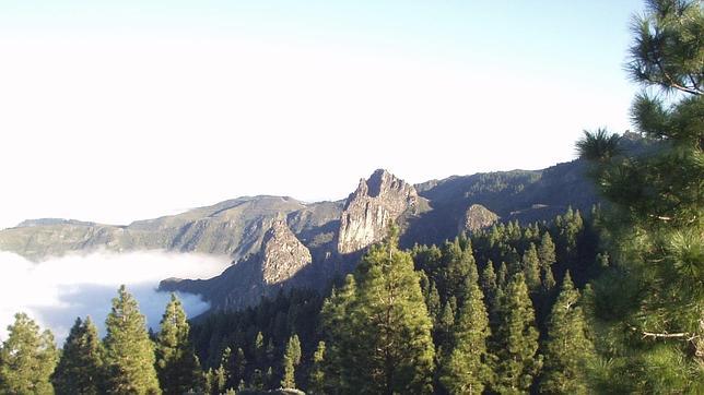Habrá nuevos bosques Patrimonio de la Humanidad en junio