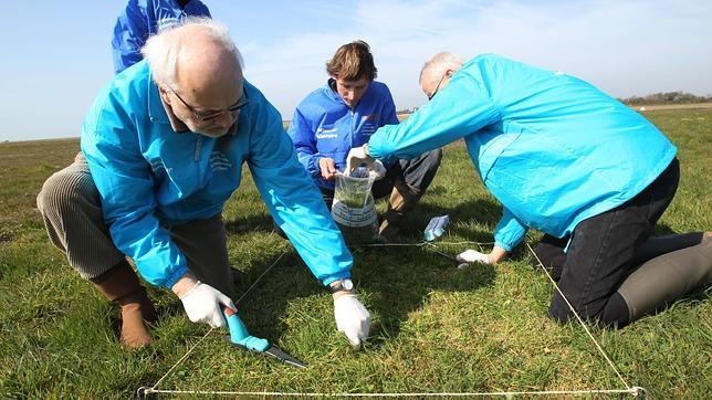 Detectan en España aumentos de cesio y yodo procedentes de Fukushima, sin riesgo para la salud
