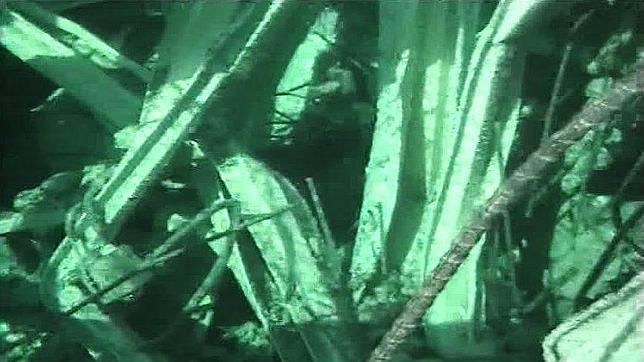 Tepco investiga si Fukushima sufre una nueva fuga de agua radiactiva