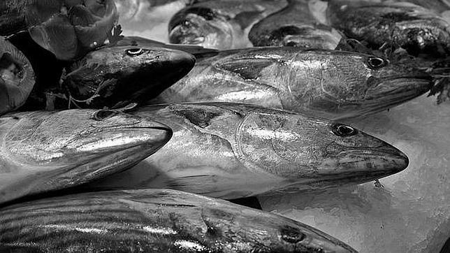 La merluza, un adelgazante natural