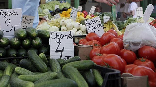 La pista de la E. coli conduce ahora a los latiguillos, unos brotes de soja para ensaladas