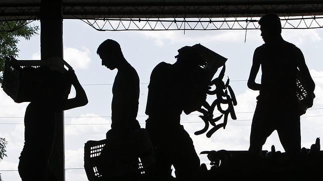 Confirman casi cien casos nuevos de E.coli en Alemania