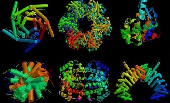 La «papiroflexia» de las proteínas