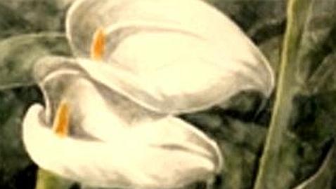 Fleurs: En el jardín del Cigarral