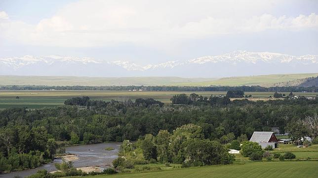 Un oso pardo mata a un hombre en el parque Yellowstone