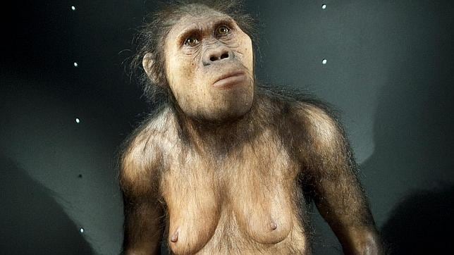 Los seres humanos modernos tuvieron sexo con distintos homínidos primitivos
