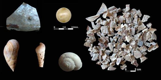 Los neandertales ibéricos comían marisco hace 150.000 años