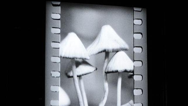 Homenaje al cine analógico de Tacita Dean en la Tate Modern