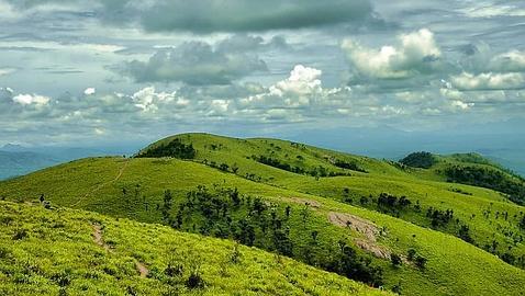 Un pueblo indígena de la India logra el derecho a usar territorio protegido