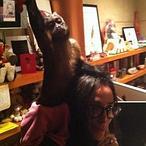 Demi Moore cambia a Ashton Kutcher por un mono en el día de su cumpleaños