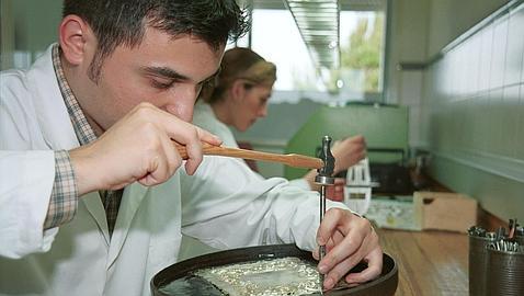 La CEOE propone recuperar al aprendiz que cobre por debajo del salario mínimo